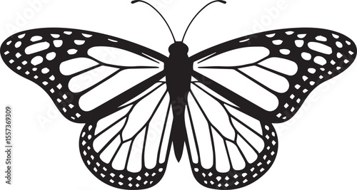 Butterfly Silhouette Vector Art Illustrations On Side