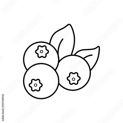 Blueberries