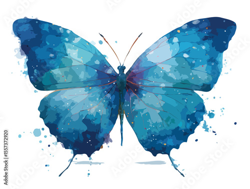 butterfly vector art