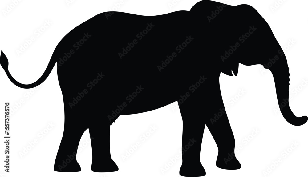 Fototapeta premium Silhouette of a large african elephant walking with its trunk extended forward