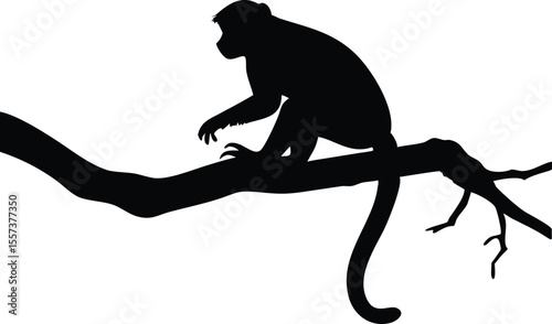 Silhouette of a monkey perched on a tree branch with black and white background