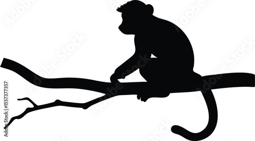 Silhouette of a monkey sitting on a tree branch against a clean white background