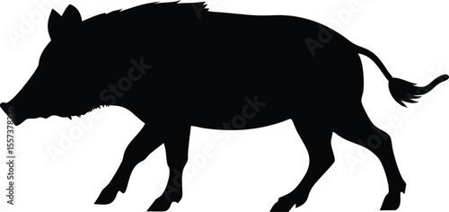 Silhouette of a wild boar walking across a white background illustration