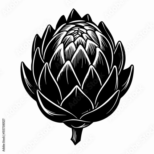Black and White Illustration of Artichoke with Detailed Petal Design