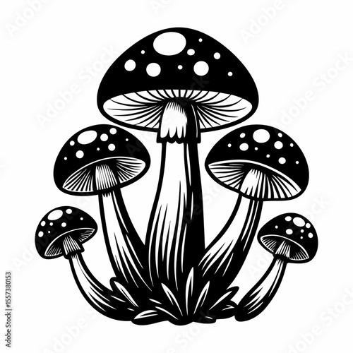 Illustration of Stylized Mushrooms on a White Background