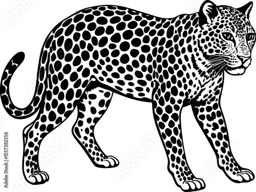 leopard vector illustration