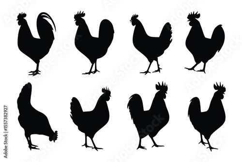 Rooster and Chicken Silhouettes Vector Pack
