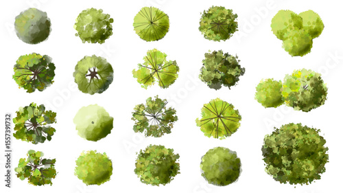 Vector set of Top view green tree for outdoor plan or map and architecture drawing, elements for environment and garden ,botanical elements ,Blooming flowers in spring,tropical plants element
