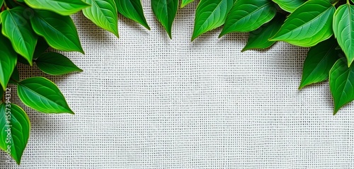 Neutral textured fabric with vibrant green leafy border, organic feel,  wallpaper,  rustic