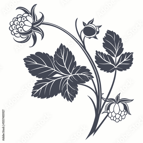 cloudberry with leaves