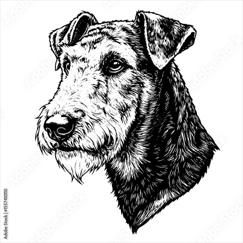 head Airedale Terrier dog pet portrait engraving intricate retro hand drawn style line art black and white vector illustration, isolated on white background