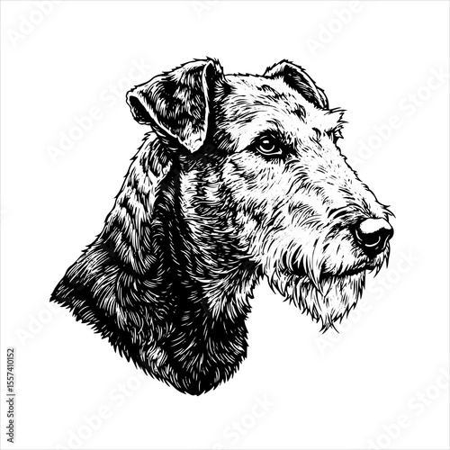head Airedale Terrier dog pet portrait engraving intricate retro hand drawn style line art black and white vector illustration, isolated on white background