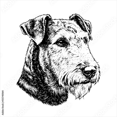 head Airedale Terrier dog pet portrait engraving intricate retro hand drawn style line art black and white vector illustration, isolated on white background