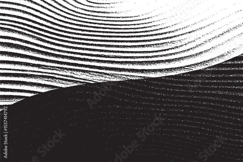 Minimalist Wavy Lines in Black and White Contrast
