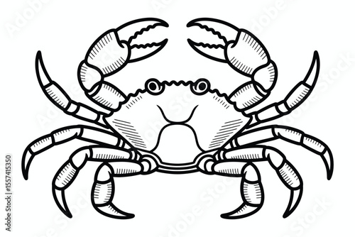 Black and white crab illustration with detailed claws and legs on white background