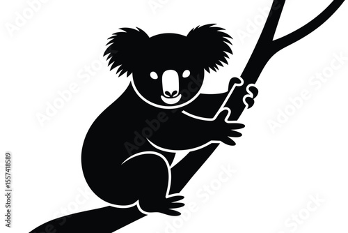 Black and white koala bear clinging to tree branch illustration