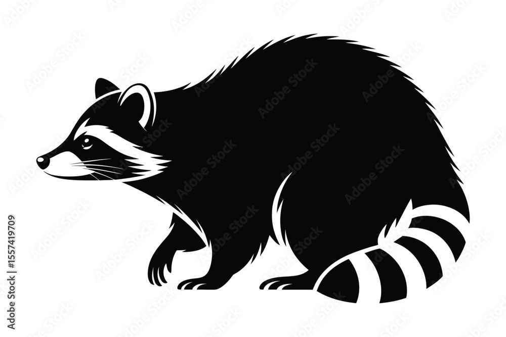 Obraz premium Black and white raccoon illustration profile view on white background
