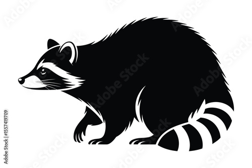 Black and white raccoon illustration profile view on white background