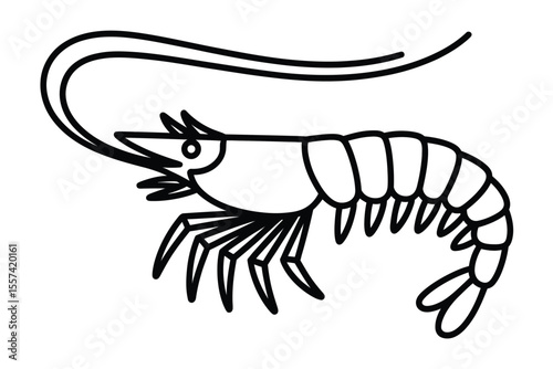 Black and white shrimp illustration with curved antennae on white background