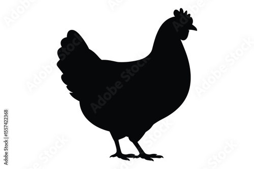 Black Chicken Silhouette on White Background fowl bird