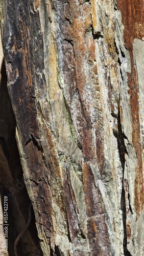 Natural Rock Texture with Layered Mineral Patterns