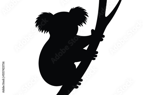Black Koala Silhouette Clinging to Tree Branch animal
