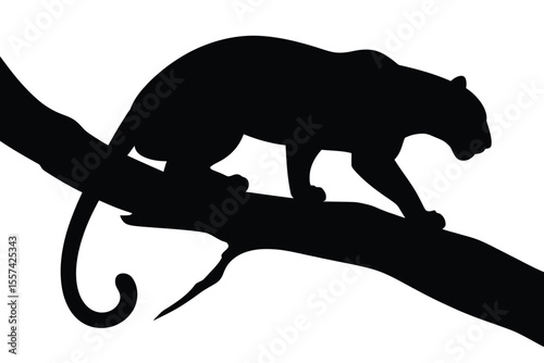 silhouette of a panther