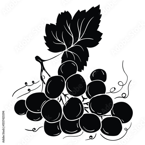 Hand drawing style of grape vector. It is suitable for fruits icon, sign or symbol