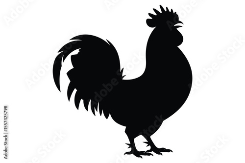 Black Rooster Silhouette on White Background chicken