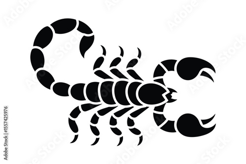 Black scorpion silhouette on white background animal