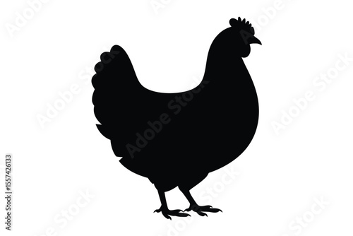 Black Silhouette of a Chicken on White Background fowl