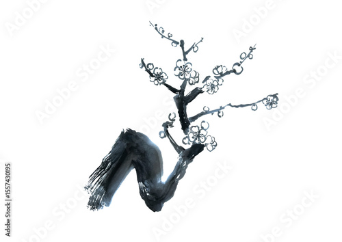 Ink Painting of Plum Tree Illustration for New Year and Celebration (Vector)

