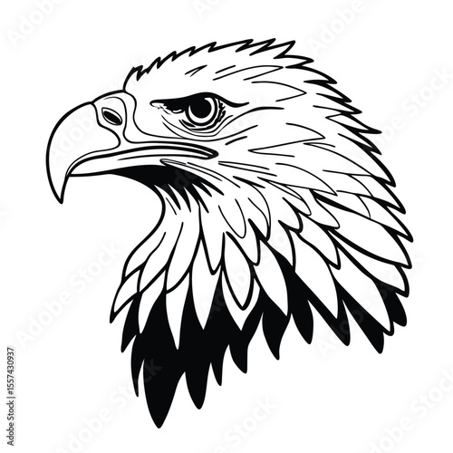 eagle line art vector vintage etching style eagle head vector with clean line detail eagle bird eagle animal beak wildlife head nature wild eagle head icon vector classic eagle sharp eagle outline