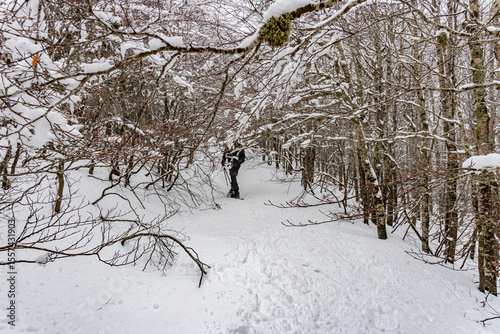 Escursionista cammina sulla neve nella fitta vegetazione di montagna in inverno