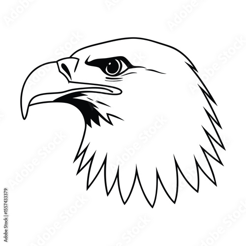 eagle minimalist bald eagle head Vector in clean front facing line art branding eagle graphic eagle emblem vector clean bird illustration eagle face outline bird of prey vector sharp eagle drawing  