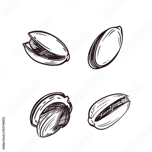 Vector illustration set, pistachio nuts in shell and without it. All objects are hand-drawn in vector ink. Illustrations are suitable for printing on fabric and paper, for product packaging design.