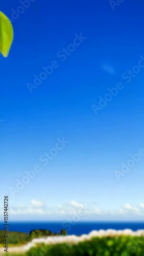 Blooming tree branches framing clear blue sky and soft green field landscape in the distance, representing a tranquil and natural scene