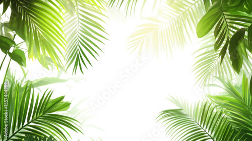 Tropical green palm leaves isolated on white background