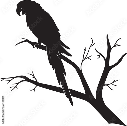 Parrot on Perch or tree branch Silhouette – exotic touch