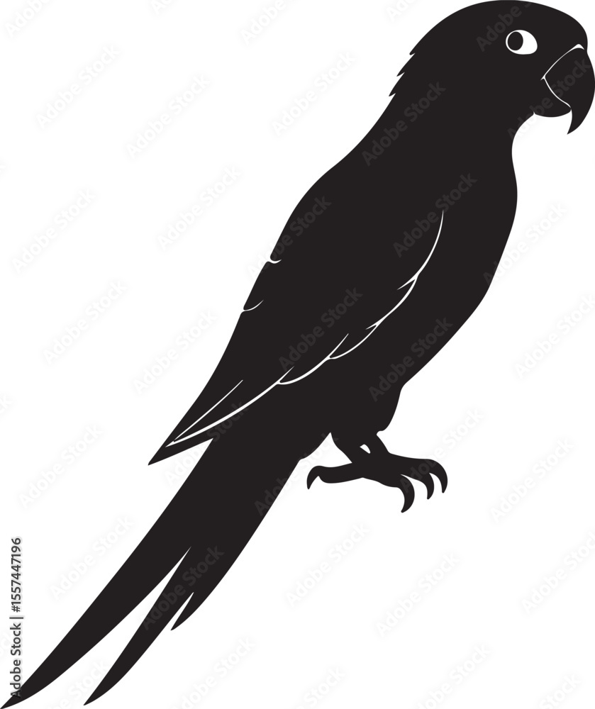 Fototapeta premium Parrot on Perch or tree branch Silhouette – exotic touch