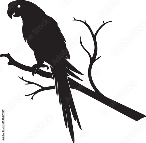 Parrot on Perch or tree branch Silhouette – exotic touch