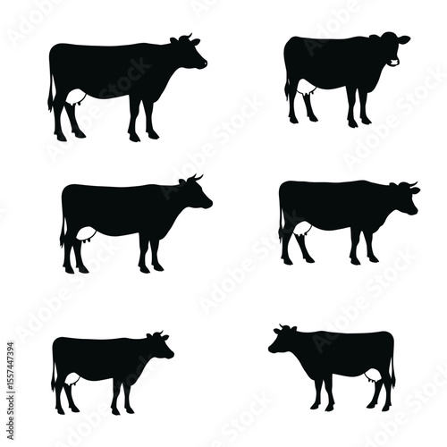 silhouettes of cow set vector design illustration, white background