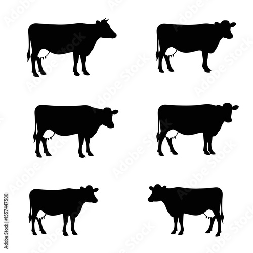 silhouettes of cow set vector design illustration, white background