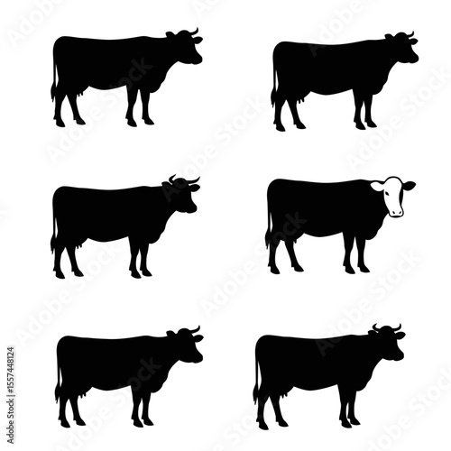 silhouettes of cow set vector design illustration, white background