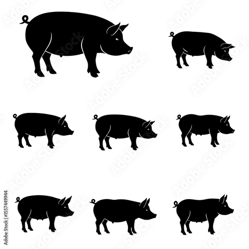 silhouettes of pigs set vector design illustration, white background.
