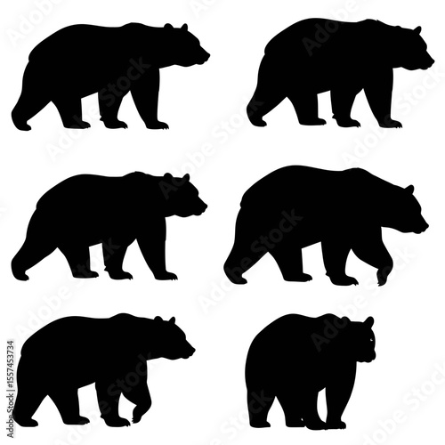 Set of grizzly bear silhouette illustration. Wildlife animal various pose in vector, white background 