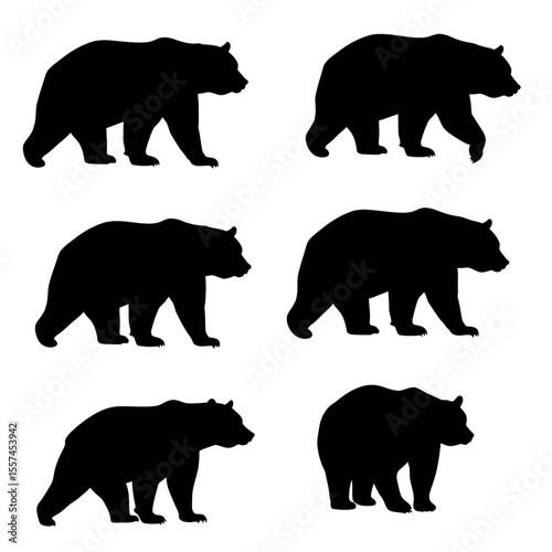 Set of grizzly bear silhouette illustration. Wildlife animal various pose in vector, white background 