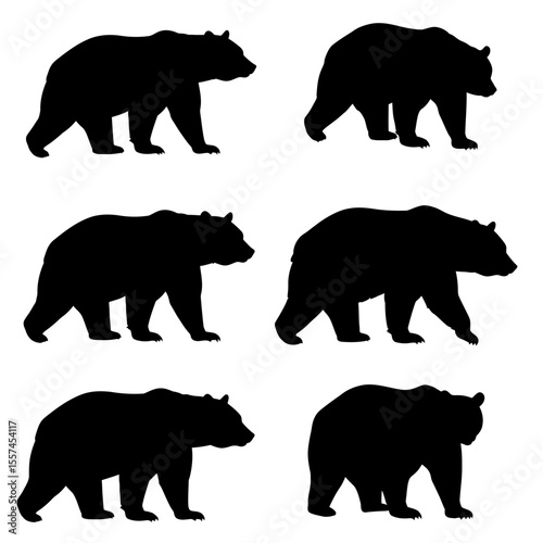 Set of grizzly bear silhouette illustration. Wildlife animal various pose in vector, white background 