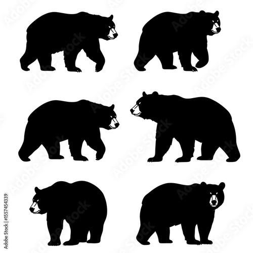 Set of grizzly bear silhouette illustration. Wildlife animal various pose in vector, white background 