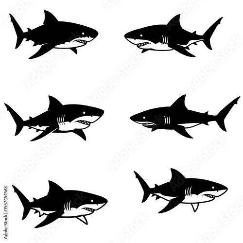Shark icon, vector design big pack of fish illustration. Shark vector silhouette set. Shark logo, sea fish, set of black and white shark. Vector illustration.